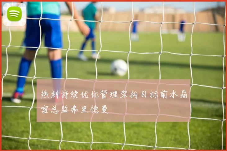 热刺持续优化管理架构目标前水晶宫总监弗里德曼