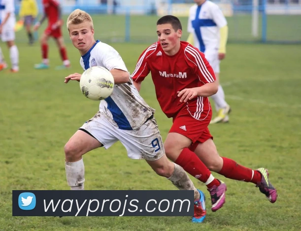 Betway平台生态图